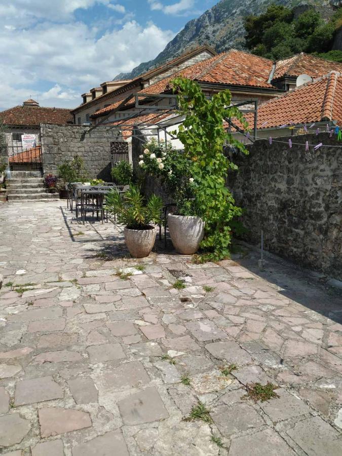 Old Town Kotor Apartments Buitenkant foto